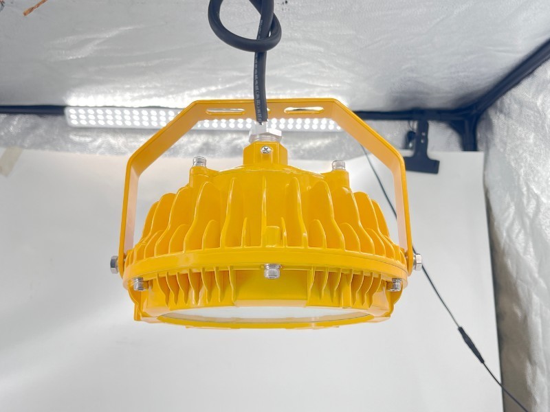 RLB157防爆平台灯