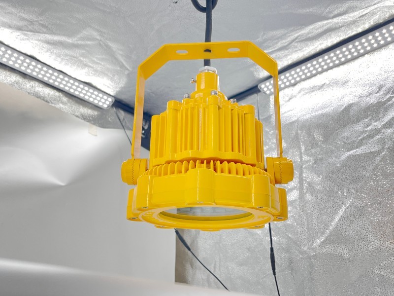 RLB158 LED防爆泛光灯灯