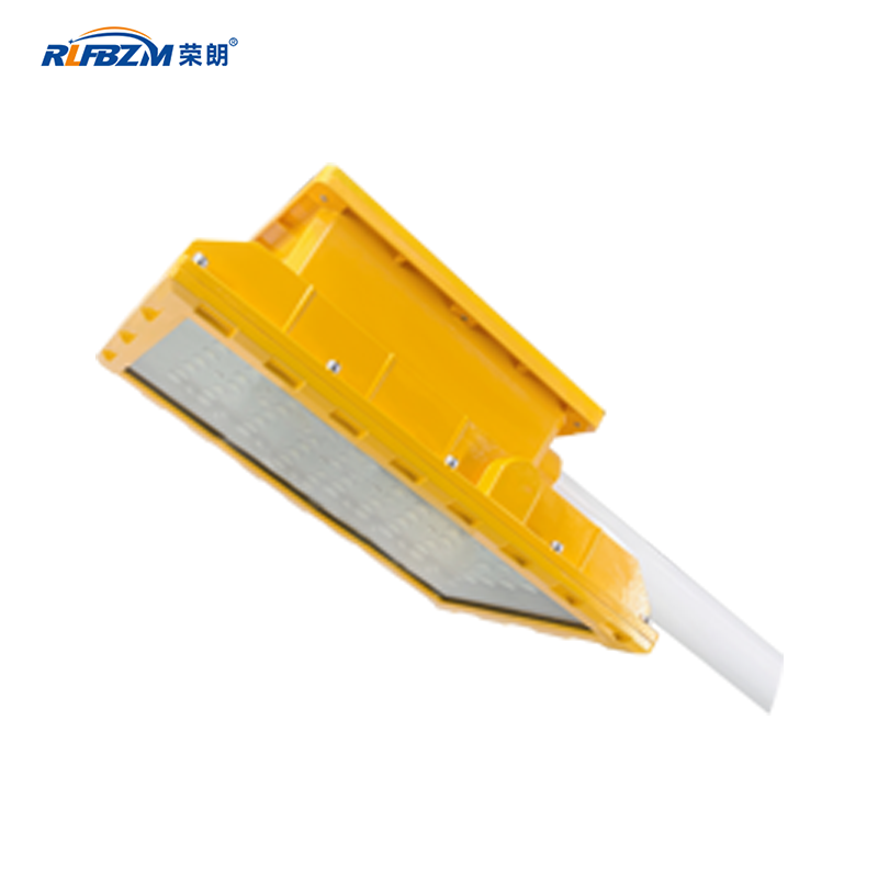 防爆马路灯 - FBM | LED防爆泛光灯