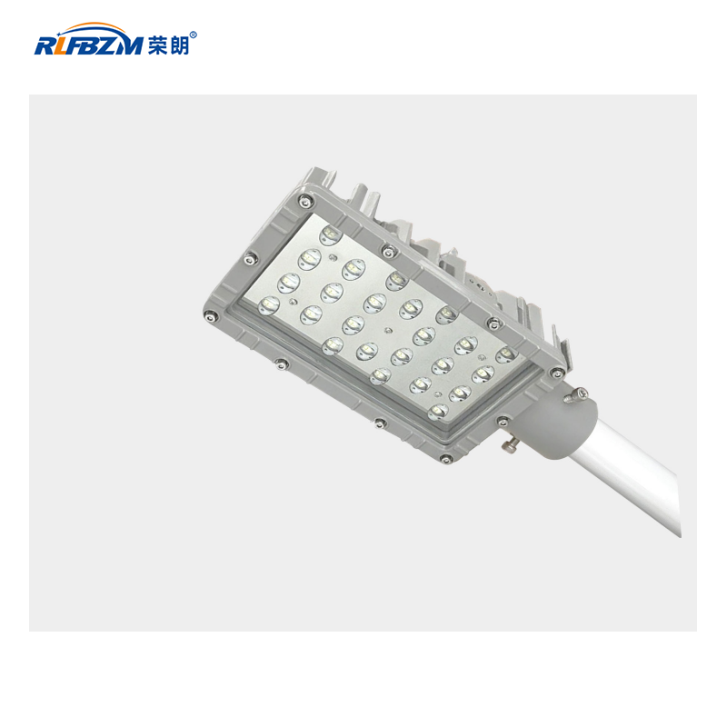 防爆马路灯 - FBM | LED防爆泛光灯