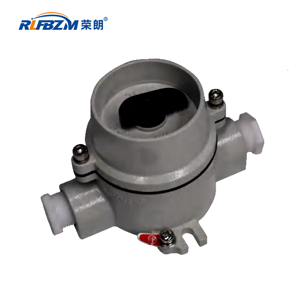 防爆照明开关BZM51